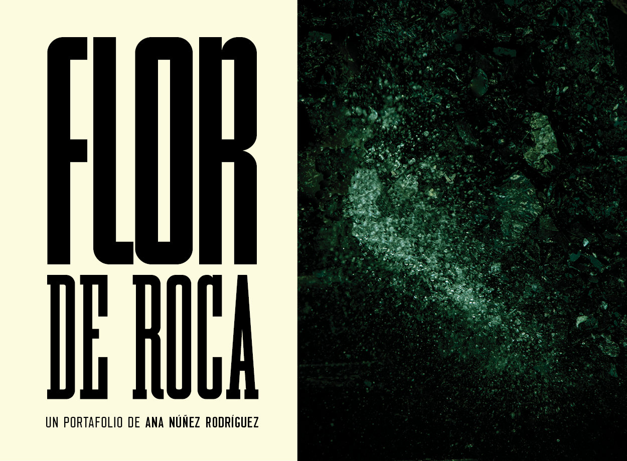 Flor de Roca