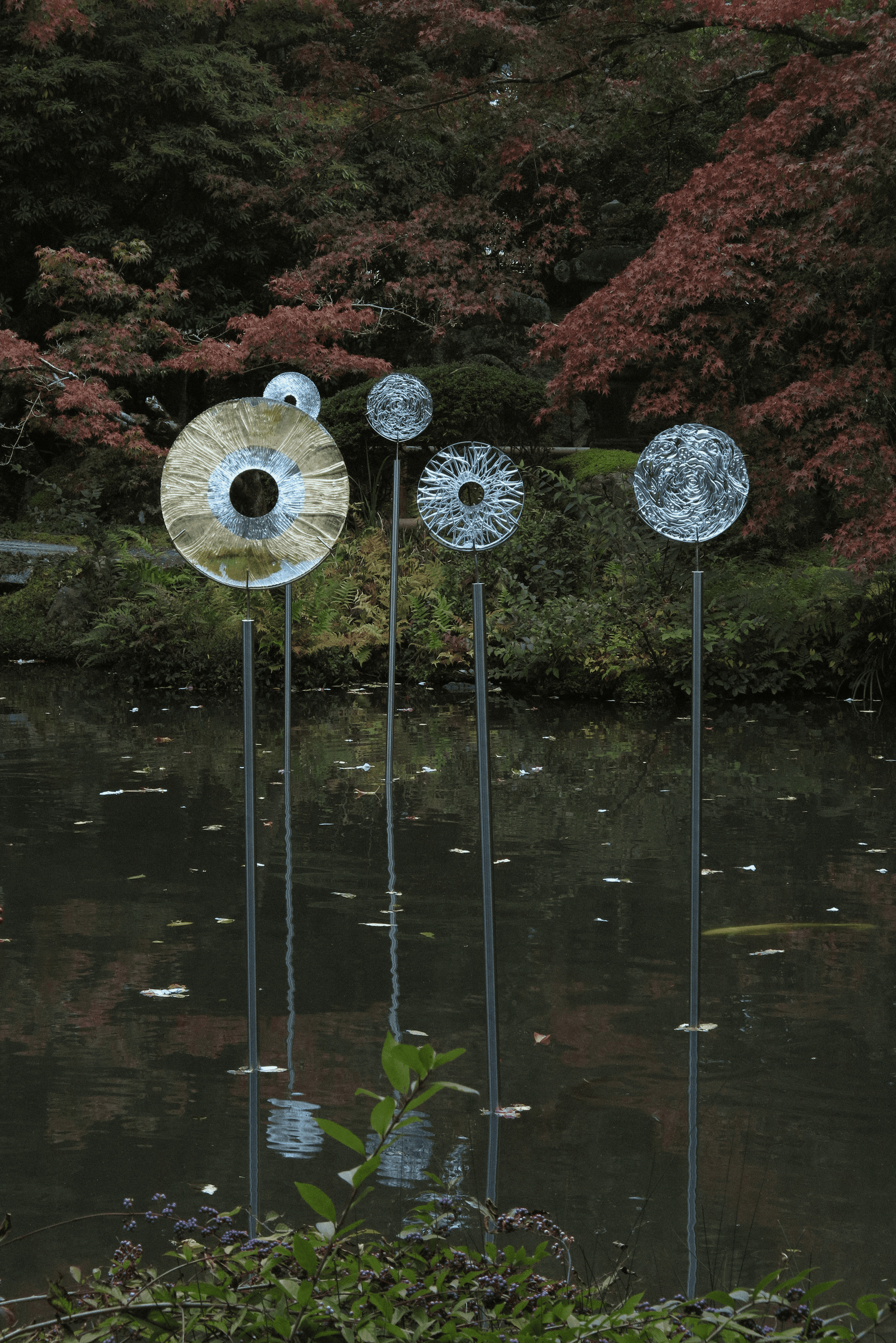  Iguaques, discos tallados en cristal y oro e instalados en el lago del Museo Hashimoto Kansetsu, en Kioto.